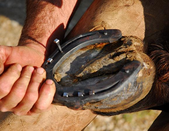 Utilité d'un fer à cheval